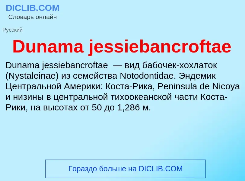 Что такое Dunama jessiebancroftae - определение