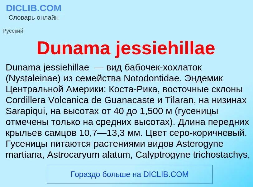 Что такое Dunama jessiehillae - определение