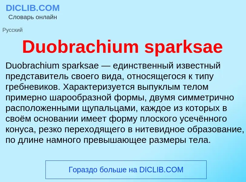 Что такое Duobrachium sparksae - определение