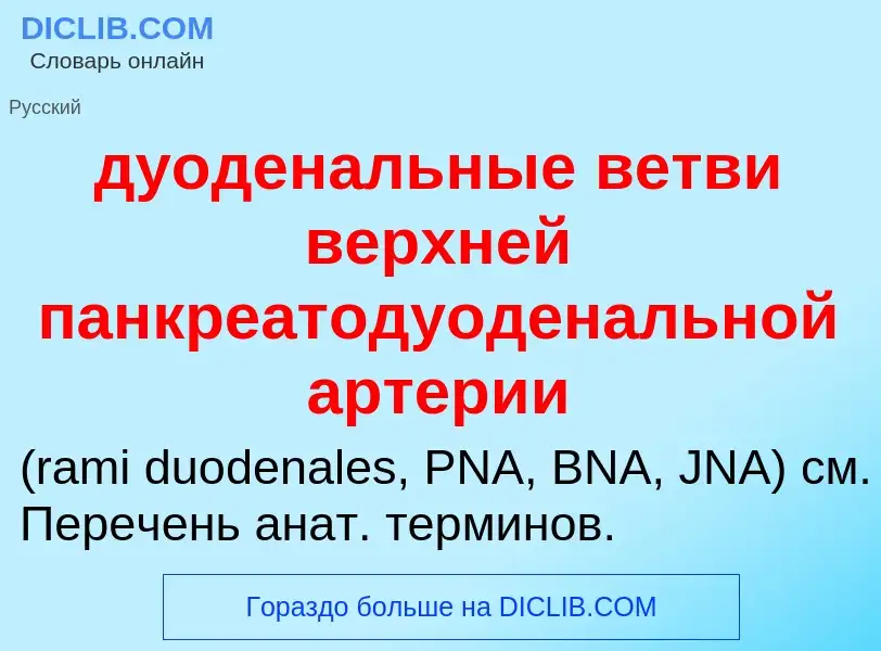 Что такое дуоденальные ветви верхней панкреатодуоденальной артерии  - определение