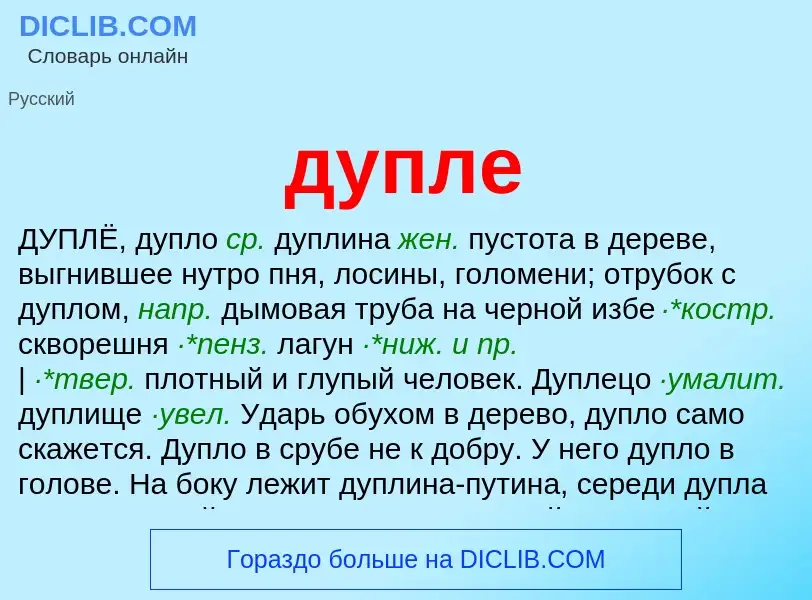 ¿Qué es дупле? - significado y definición