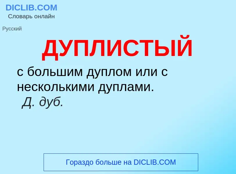 What is ДУПЛИСТЫЙ - meaning and definition