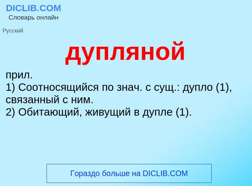 What is дупляной - meaning and definition