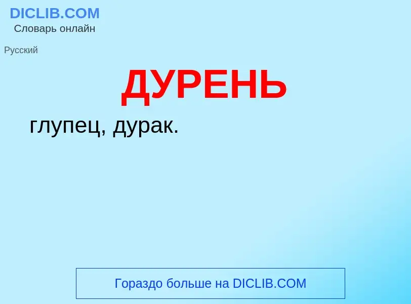 What is ДУРЕНЬ - meaning and definition