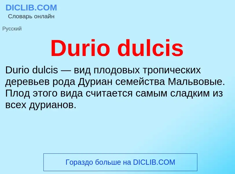 Что такое Durio dulcis - определение