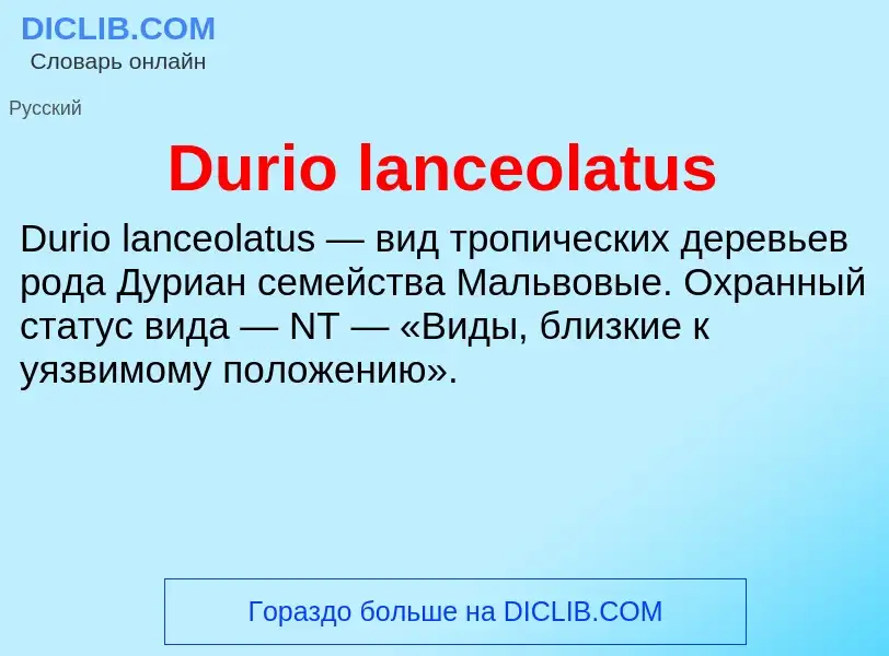 Τι είναι Durio lanceolatus - ορισμός