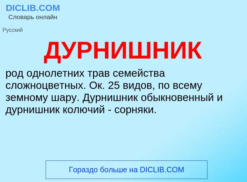 What is ДУРНИШНИК - meaning and definition