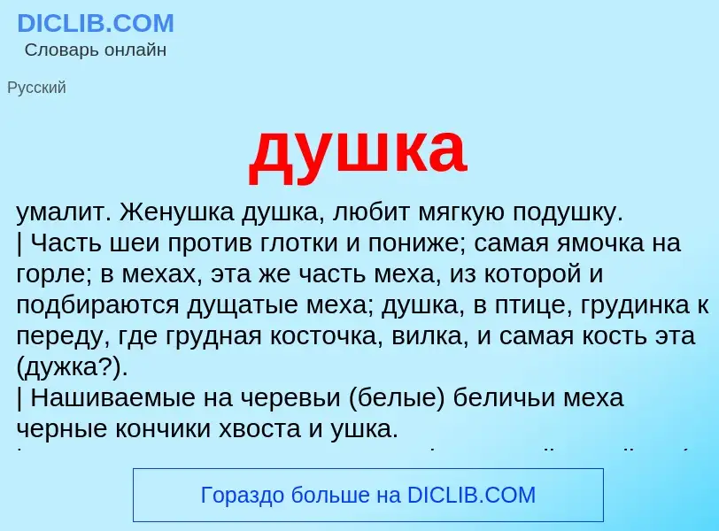 What is душка - meaning and definition