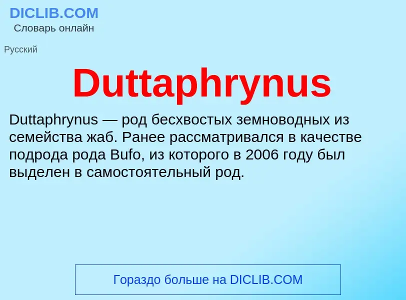 Что такое Duttaphrynus - определение