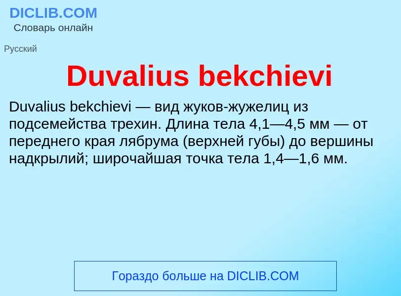 Τι είναι Duvalius bekchievi - ορισμός