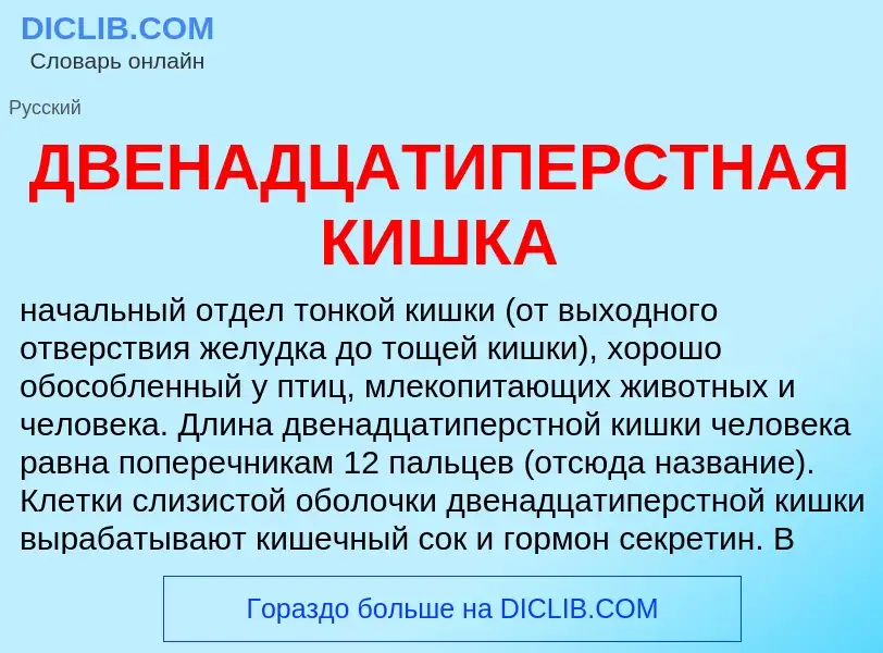 Wat is ДВЕНАДЦАТИПЕРСТНАЯ КИШКА - definition