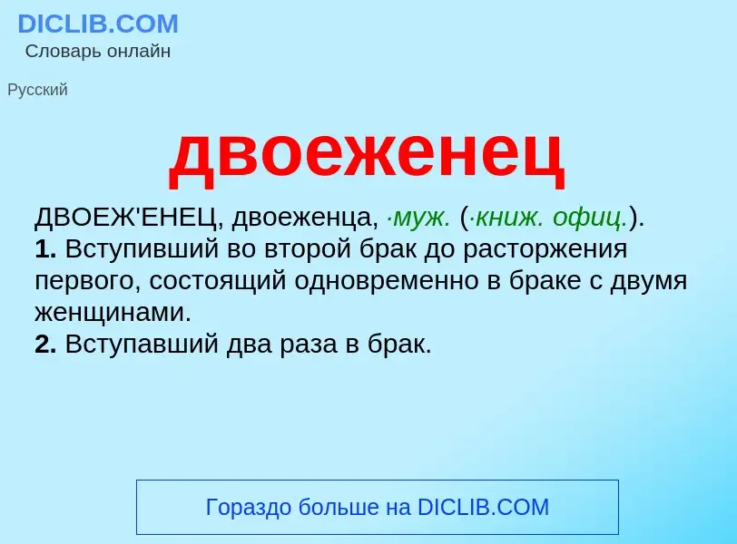 Was ist двоеженец - Definition