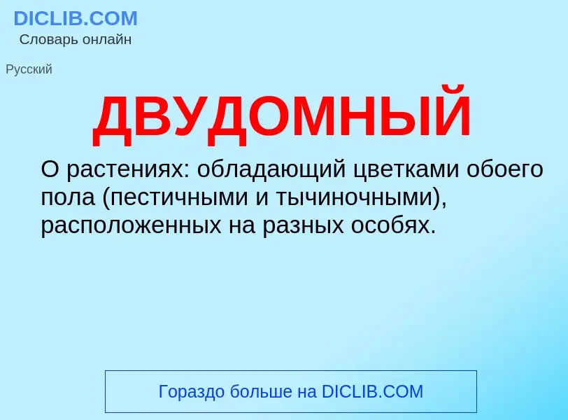 O que é ДВУДОМНЫЙ - definição, significado, conceito