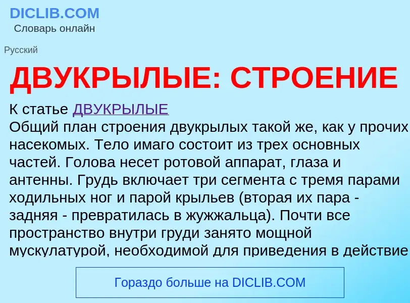 Что такое ДВУКРЫЛЫЕ: СТРОЕНИЕ - определение