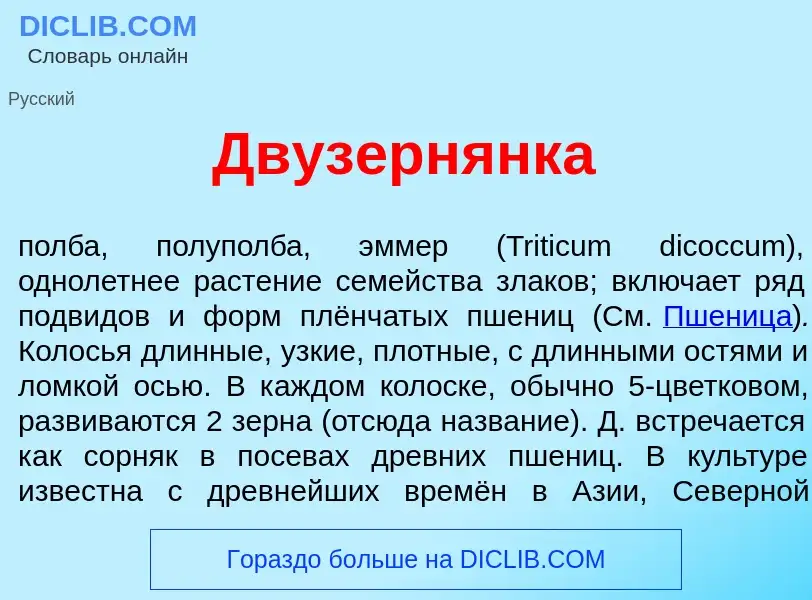 O que é Двузерн<font color="red">я</font>нка - definição, significado, conceito