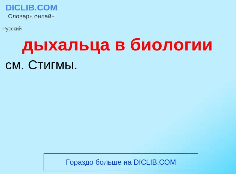 ¿Qué es дыхальца в биологии? - significado y definición