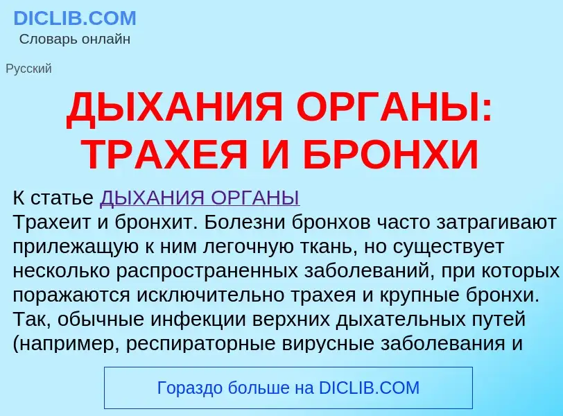 Что такое ДЫХАНИЯ ОРГАНЫ: ТРАХЕЯ И БРОНХИ - определение