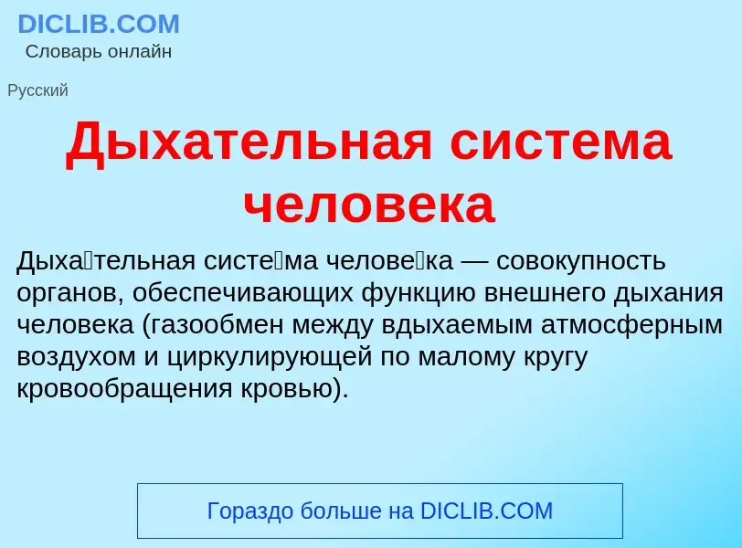 ¿Qué es Дыхательная система человека? - significado y definición