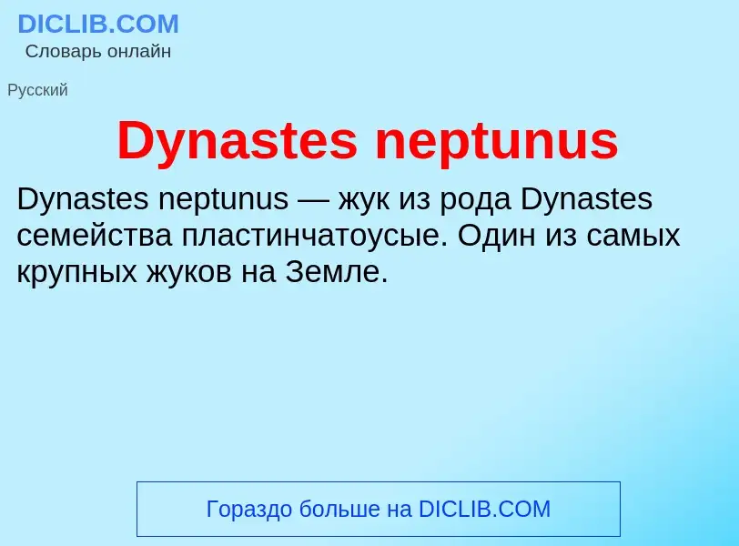 What is Dynastes neptunus - meaning and definition