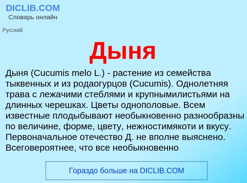 O que é Дыня - definição, significado, conceito