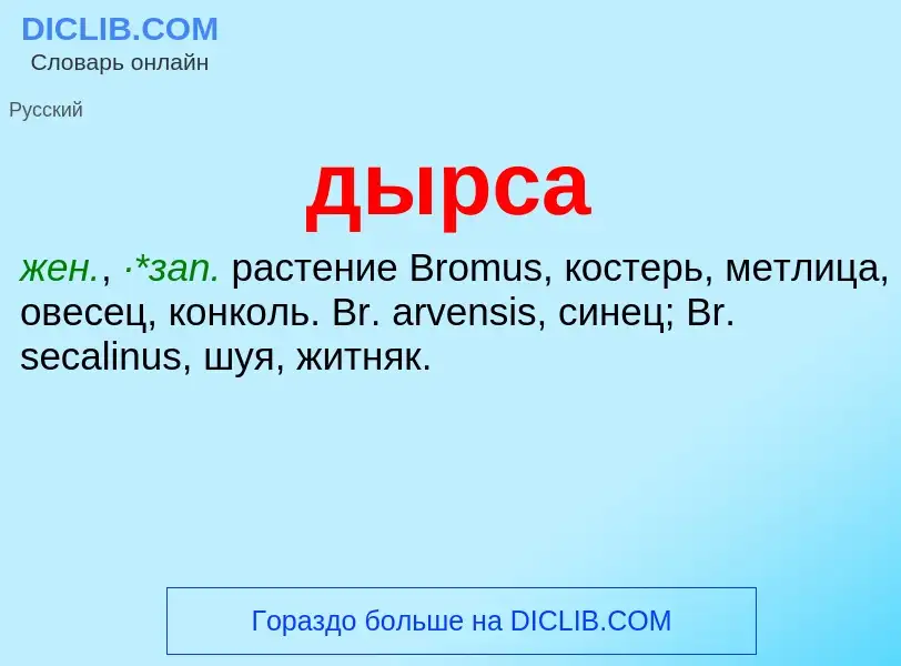 ¿Qué es дырса? - significado y definición