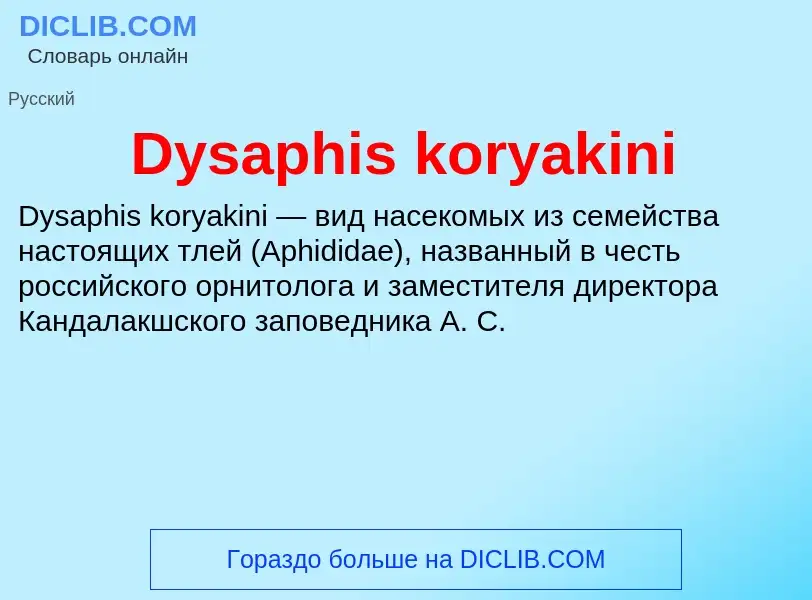 Was ist Dysaphis koryakini - Definition