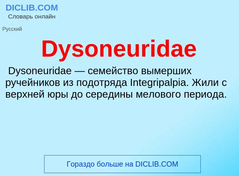 What is Dysoneuridae - meaning and definition