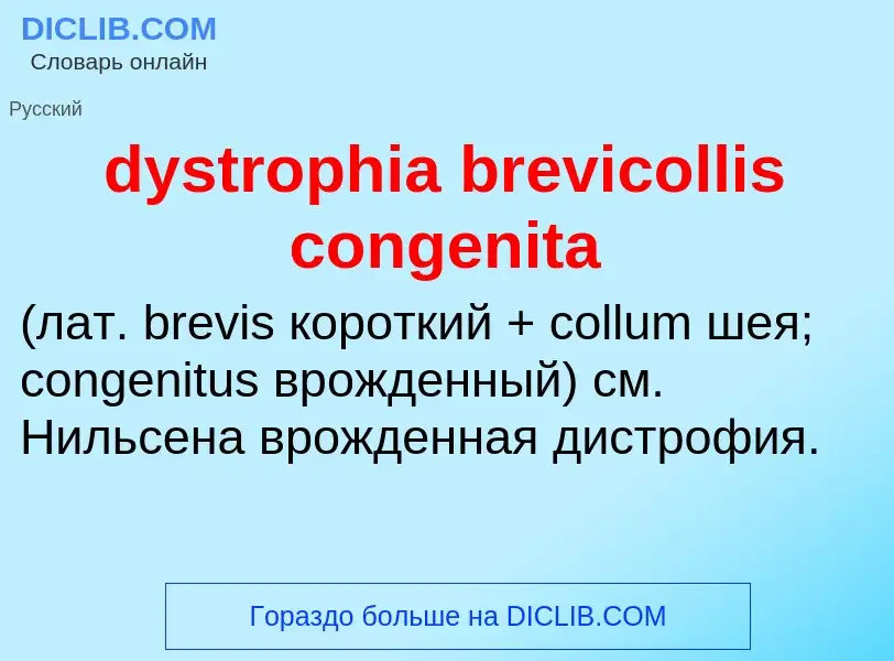 What is dystrophia brevicollis congenita  - meaning and definition