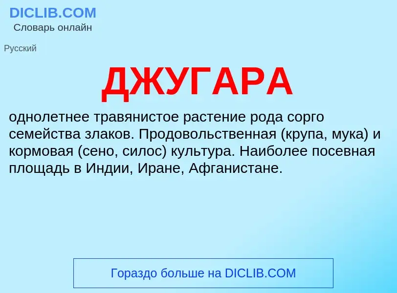 Wat is ДЖУГАРА - definition