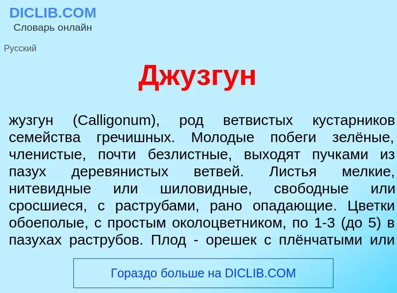 Что такое Джузг<font color="red">у</font>н - определение