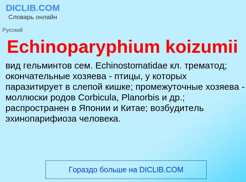 Что такое Echinoparyphium koizumii - определение