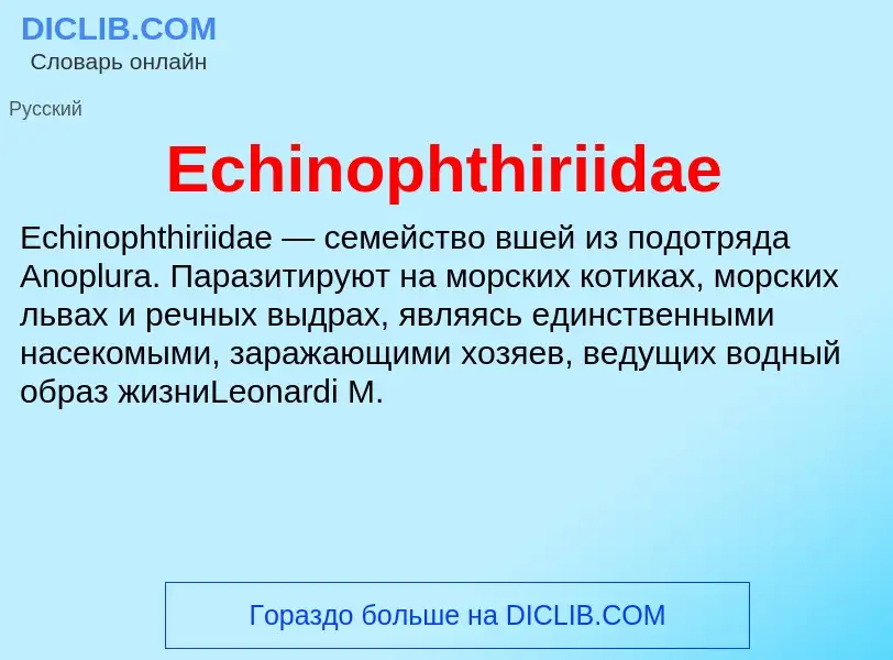 Что такое Echinophthiriidae - определение