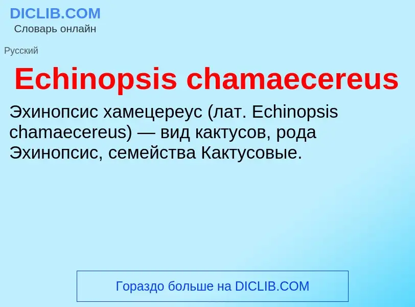 Что такое Echinopsis chamaecereus - определение