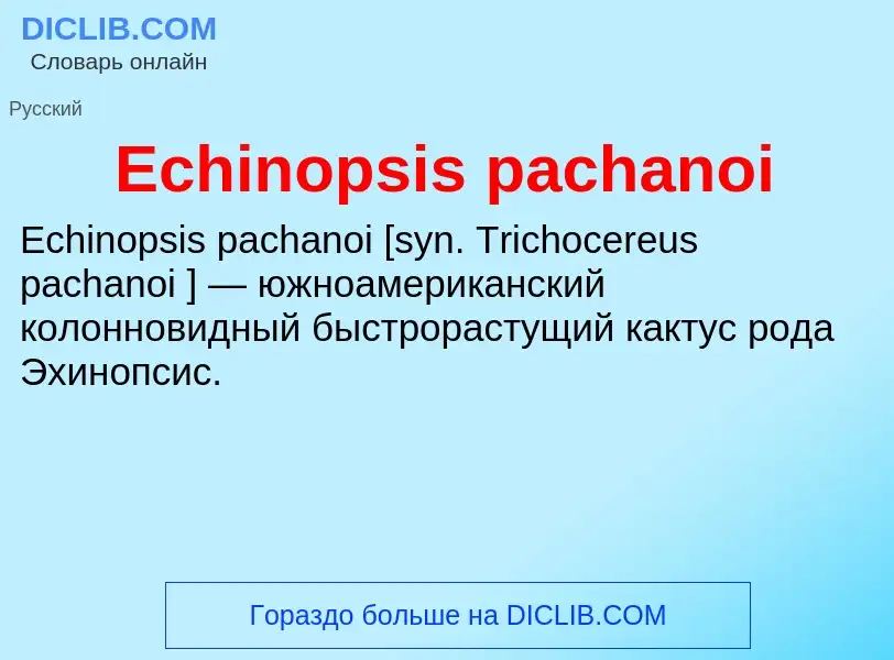 Что такое Echinopsis pachanoi - определение