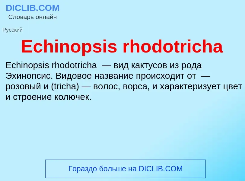 Что такое Echinopsis rhodotricha - определение