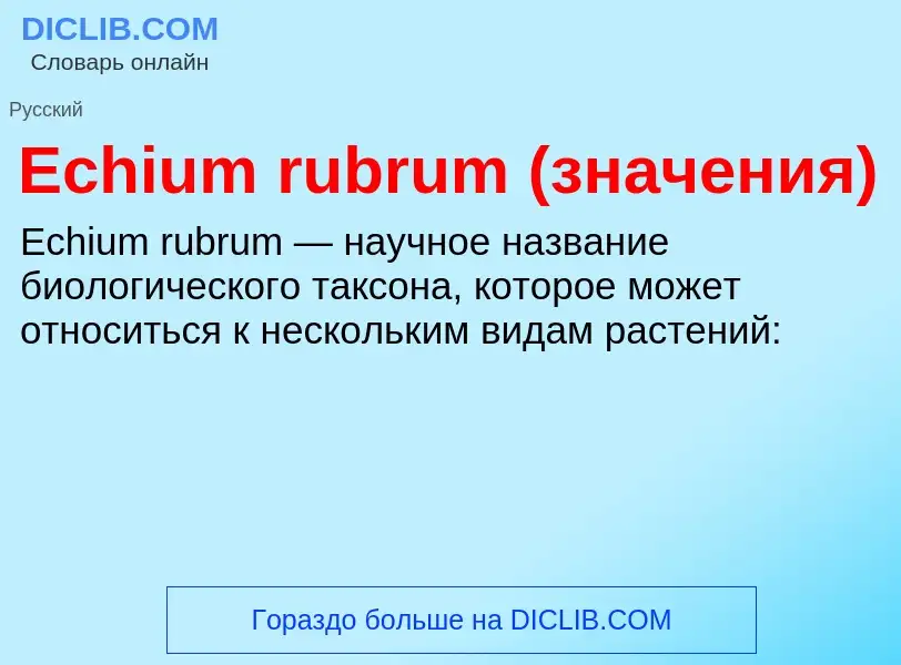 Что такое Echium rubrum (значения) - определение