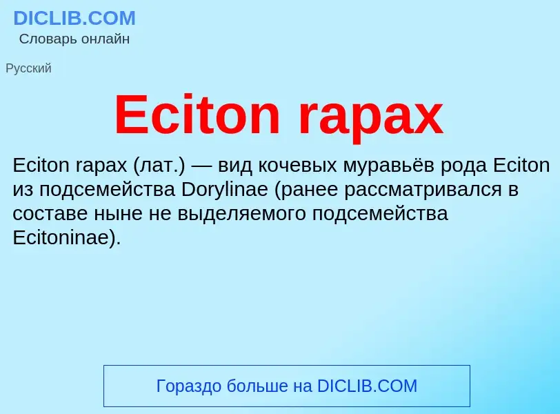 Что такое Eciton rapax - определение