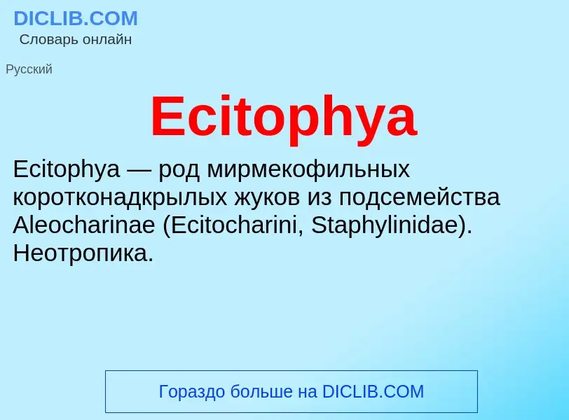 Что такое Ecitophya - определение