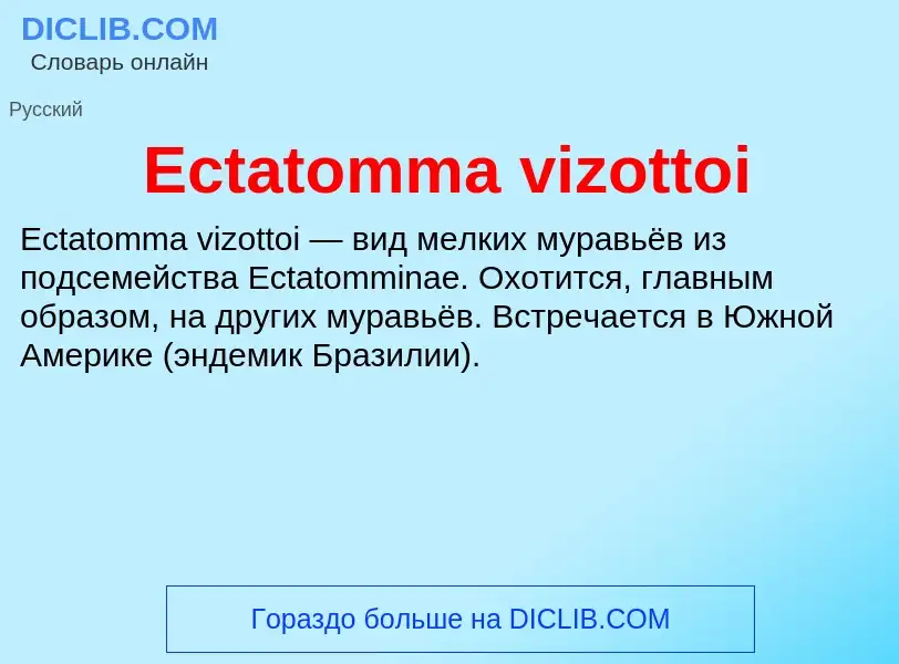 Что такое Ectatomma vizottoi - определение