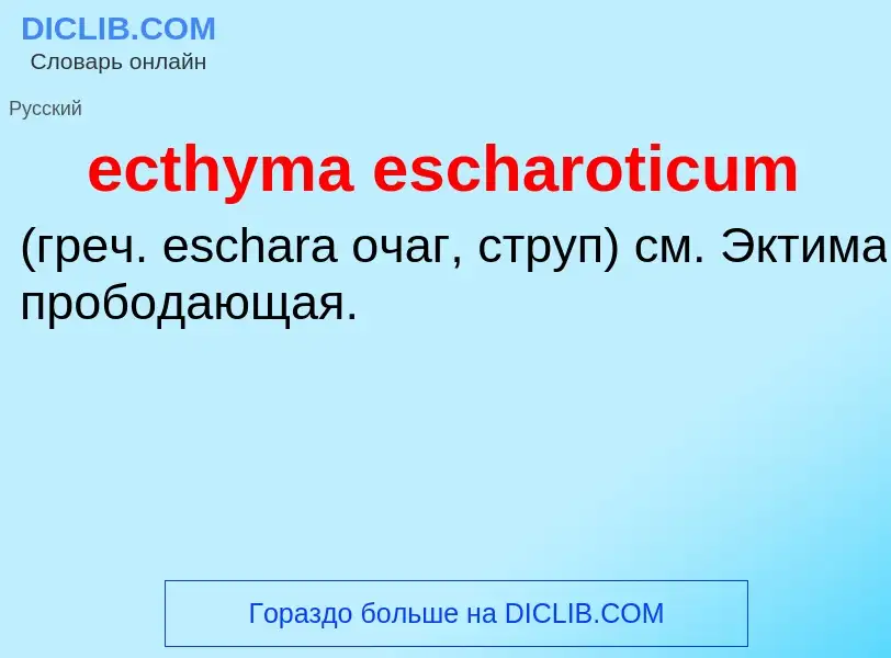 Was ist ecthyma escharoticum  - Definition