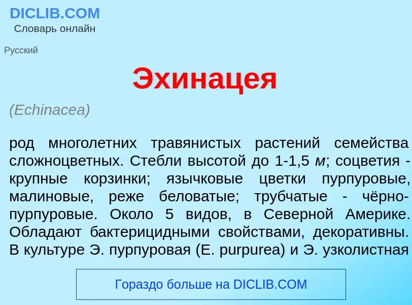 Che cos'è Эхин<font color="red">а</font>цея - definizione