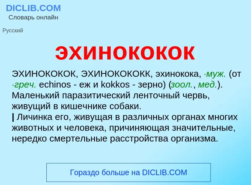 Что такое эхинококок - определение