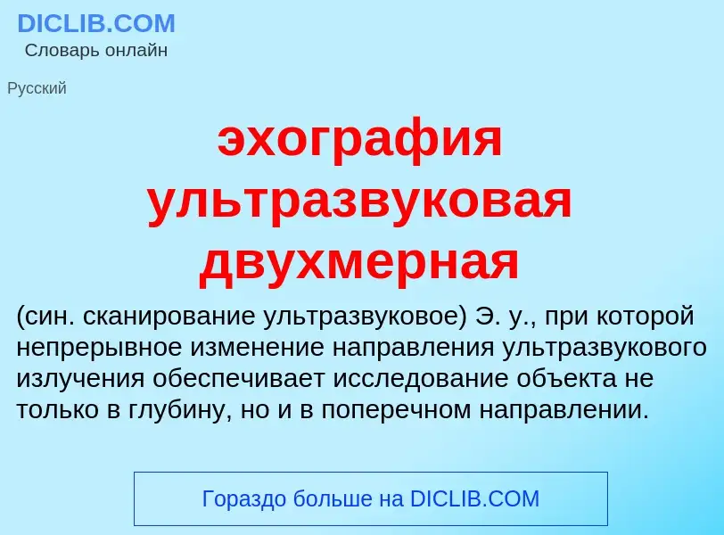 Wat is эхография ультразвуковая двухмерная  - definition