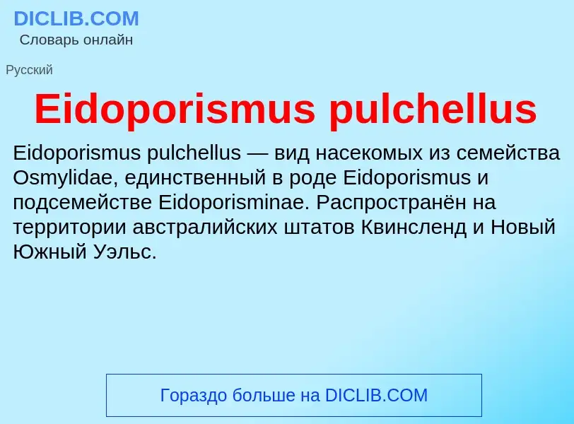 Что такое Eidoporismus pulchellus - определение