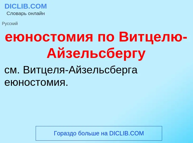 Что такое еюностомия по Витцелю-Айзельсбергу - определение