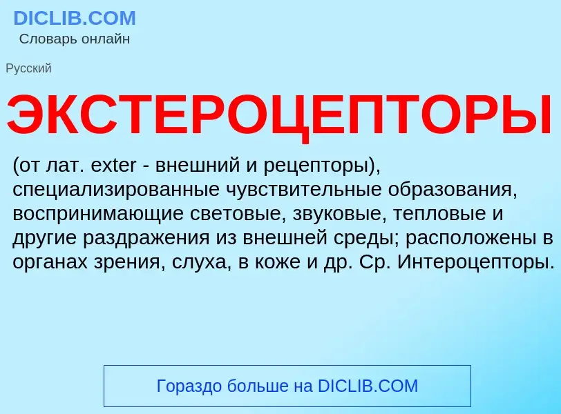 Что такое ЭКСТЕРОЦЕПТОРЫ - определение