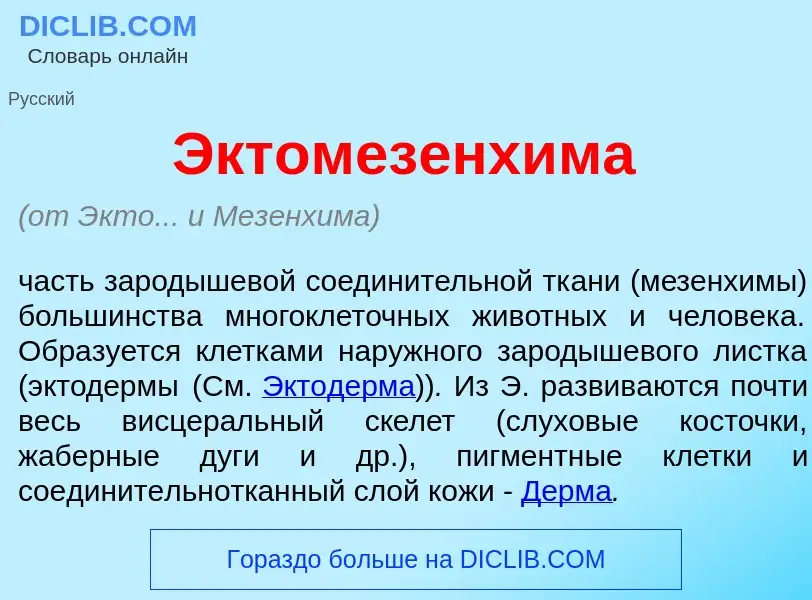 What is Эктомезенх<font color="red">и</font>ма - meaning and definition