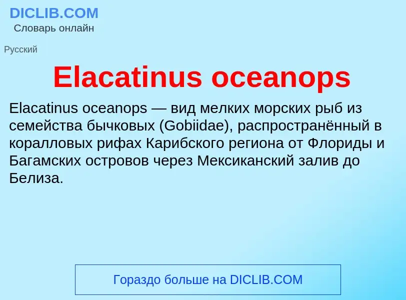 Что такое Elacatinus oceanops - определение