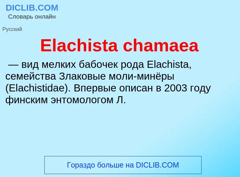 Что такое Elachista chamaea - определение