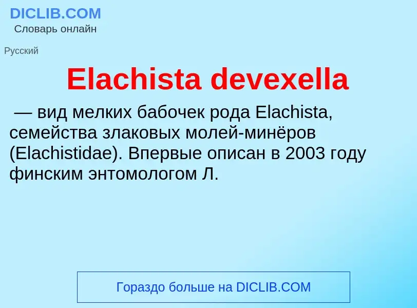 Что такое Elachista devexella - определение